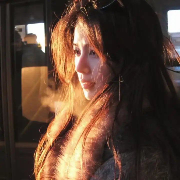 乌龙派出所特别篇2016：THEFINAL两津勘吉最后的一天